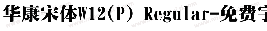 华康宋体W12(P) Regular字体转换